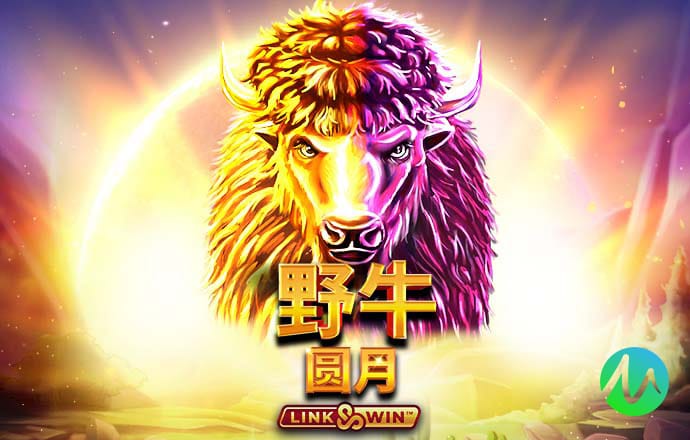 鸿博体育app官网入口